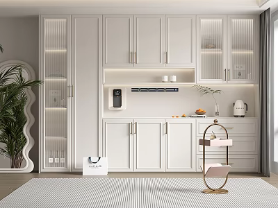Modern White Shoe Cabinet With Glass Doors Built in Lighting And Storage Shelves 3d model