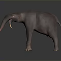 Gray Elephant With Long Trunk And Yellow Tusks Standing On Dark Background 3d model