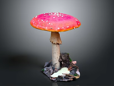 Red Mushroom Pink Cap With White Spots Light Stem Surrounded By Dead Leaves Soil 3d model