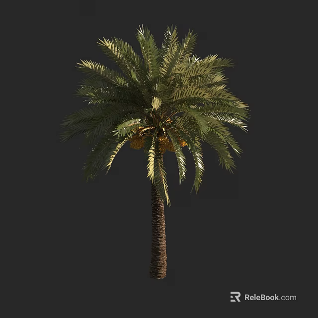 Lush Green Palm Tree With Brown Trunk And Yellow Fruits On Trunk 3d model 
