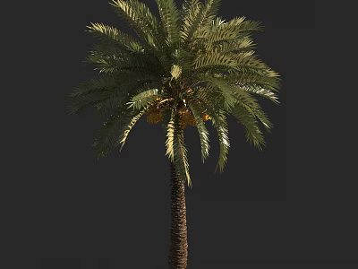 Lush Green Palm Tree With Brown Trunk And Yellow Fruits On Trunk 3d model
