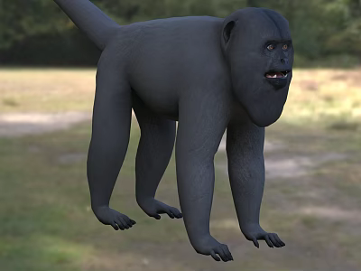 Black Reptile With Long Tail Standing On Grassland In Natural Environment 3d model