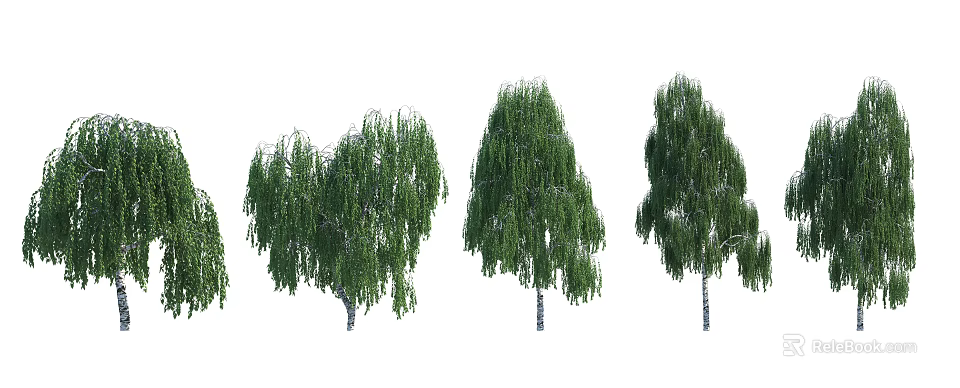 Weeping Willow Trees With Long Hanging Branches And Lush Green Foliage 3d model 