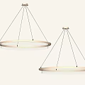 Modern Circular Pendant Lights With Metal Frame And LED Lighting Design 3d model
