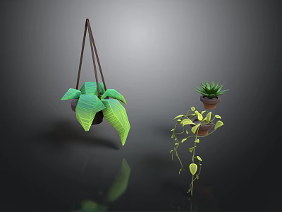 Hanging Green Plant With Large Leaves And Potted Plant On Shelf With Trailing Vines 3d model