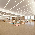 Spacious Yoga Studio With Fitness Equipment And Bright Interior