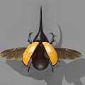 Realistic Black and Yellow Beetle with Large Antennae and Open Wings