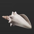 Beige White Shell Shaped Decorative Ornament Set For Home Living Room Tabletop Decoration