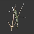 Green Chameleon Reptile Climbing On Dry Branch With Natural Texture Background