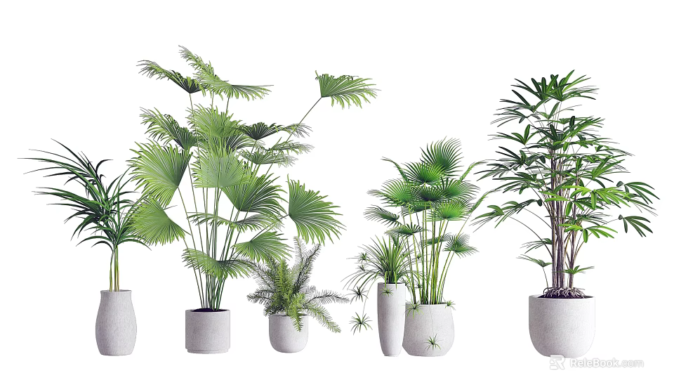 Bonsai Potted Plants with Various Green Leafy Plants in White Ceramic Pots for Home Decoration 3d model 
