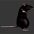 Game Movie Character Mouse Black Body Pink Ears Paws Tail Standing On Gradient Gray Background
