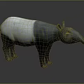 Tapir With White And Gray Coat Standing On Gray Background With Long Snout