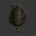 Realistic Sea Turtle Featuring Brown Orange Shell and Patterned Skin on Dark Surface