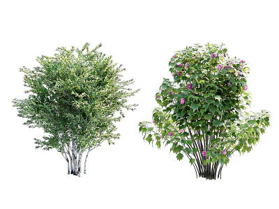 Different Types of Garden Shrubs with Lush Green Leaves and Pink Flowers 3d model
