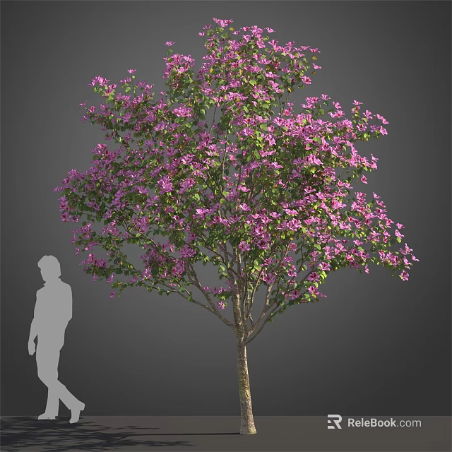 Tall Blooming Arbor With Lush Purple Flowers And Human Silhouette 3d model 