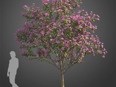 Tall Blooming Arbor With Lush Purple Flowers And Human Silhouette 3d model