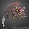 Tall Blooming Arbor With Lush Purple Flowers And Human Silhouette