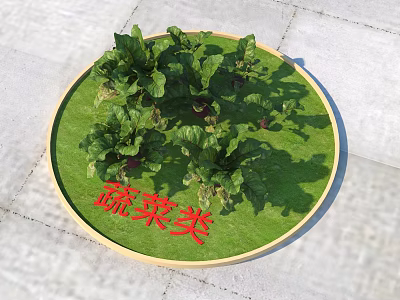 Fresh Leafy Vegetables Growing In Round Tray With Green Grass Base 3d model