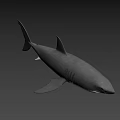 Realistic Gray Shark 3D Model With Detailed Fin And Body Render 3d model