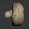 Sliced Half Mushroom Close Up View With White Brown Color And Gray Background