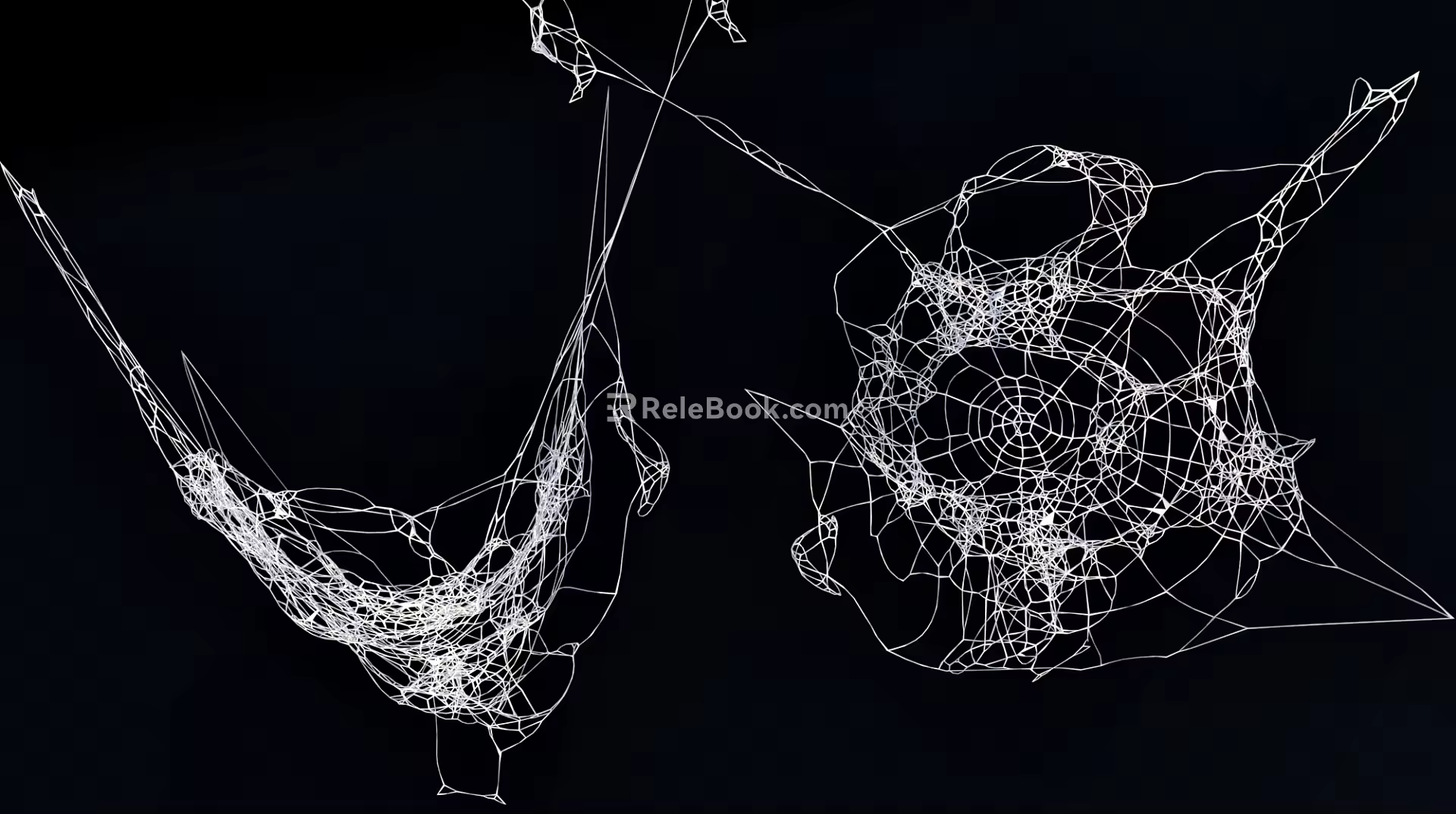 spider web spider web spider 3d model