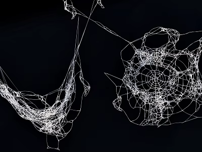 Abstract White Line Mesh Hanging Decorations with Intricate Web Design on Black Background 3d model