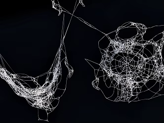 spider web spider web spider 3d model