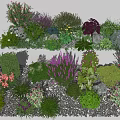 Various Colorful Flowers And Mixed Green Plants In Garden Landscape With Decorative Stones