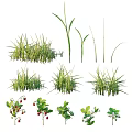 Natural Grassland Featuring Lush Green Plants Herbs And Divided White Lines