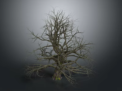 Rustic Wood and Stone Tree Trunk with Outstretched Branches and Green Moss Base 3d model
