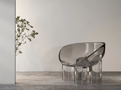 Transparent Acrylic Leisure Chair With Modern Design Green Plant And Wooden Floor 3d model