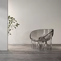 Transparent Acrylic Leisure Chair With Modern Design Green Plant And Wooden Floor