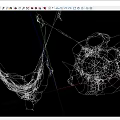 spider web spider web spider 3d model