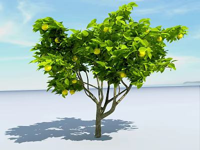 Lush Lemon Tree With Green Leaves And Yellow Fruits Under Clear Blue Sky 3d model