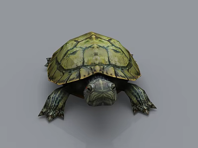 Detailed Reptile Turtle With Green Shell Patterns And Scaly Limbs On Gray Background 3d model