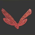 Vibrant Orange And White Patterned Butterfly Wings On Gray Background With Reflection