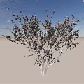 Deciduous Tree with White Trunk and Lush Green Leaves Under Blue Sky with Clouds 3d model
