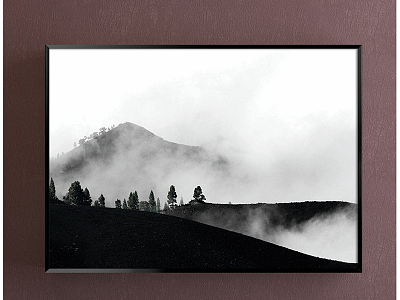 Modern landscape painting black and white landscape decorative painting model