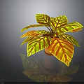 Vibrant Potted Plant With Yellow And Red Striped Leaves For Indoor Decor