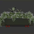 Lush Green Leafy Plants Growing in Rectangular Planter with Red Wheels