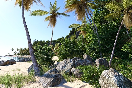 Modern Beach Seaside Coconut Tree Beach 3d model