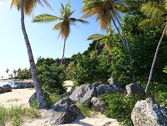 Modern Beach Seaside Coconut Tree Beach 3d model