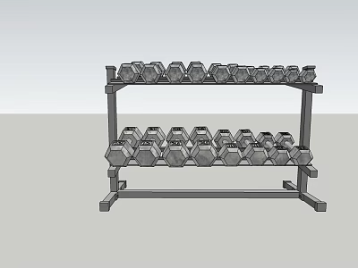 Sturdy Two Tier Dumbbell Rack With Multiple Dumbbells For Fitness Equipment Storage 3d model