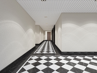 Modern aisle elevator corridor public area characteristic office building elevator 3d model