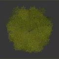 Realistic 3D Tree Model With Lush Green Foliage And Brown Trunk