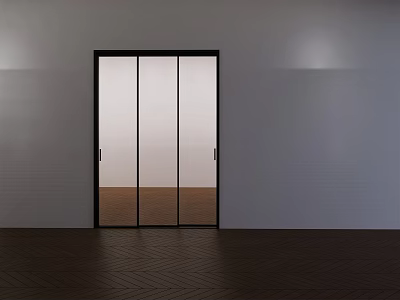 Modern Sliding Doors With Glass Panels Black Frame On White Wall Dark Herringbone Wood Floor 3d model