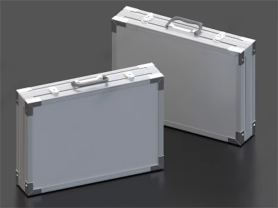 Two Silver Aluminum Cases With Portable Handles And Sleek Durable Design 3d model