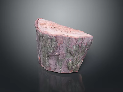 Wood Stone Tree Stump Decorative Piece with Intricate Natural Surface Texture 3d model