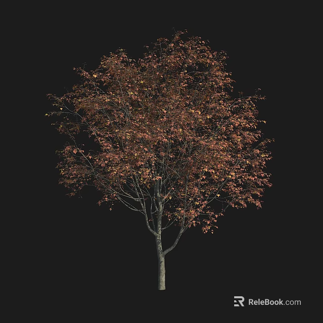 Autumn Tree With Red And Brown Leaves And Slender Grey Trunk 3d model 