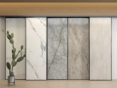 Various Textured Wall Paneling Design For Modern Interior With Decorative Cactus 3d model